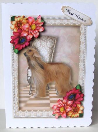 Afghan Hound & Beautiful Dahlias by Margaret McCartney