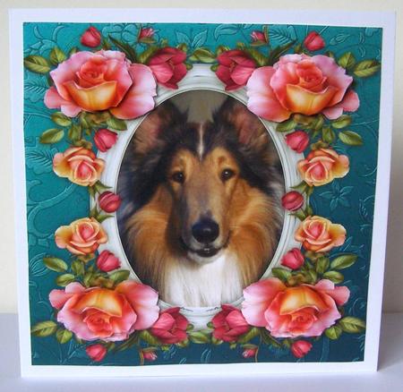 8 x 8 Rough Collie Dog & Roses Card Topper & Decoupage by Margaret McCartney