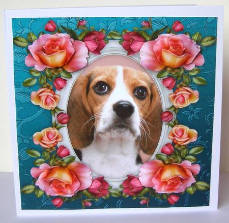 8 x 8 Beagle Dog & Roses Card Topper & Decoupage by Margaret McCartney