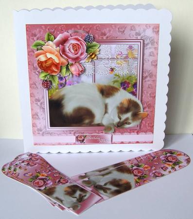 A Purrfect Birthday Cat Card Kit by Margaret McCartney