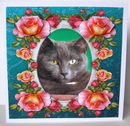 8 x 8 Orlando Grey Kitty Cat & Roses Card Topper & Decoupage by Margaret McCartney