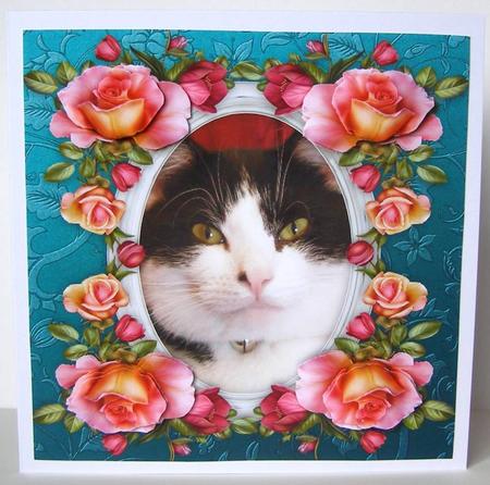 8 x 8 Mylo B&w Kitty Cat & Roses Card Topper & Decoupage by Margaret McCartney