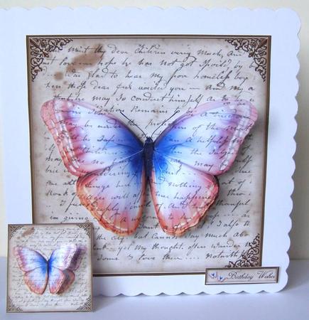 Butterfly by Margaret McCartney