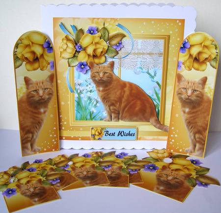 Ginger Snap Birthday Cat Card Kit by Margaret McCartney