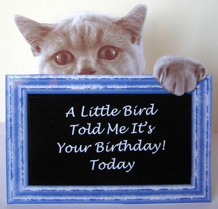 Cat with Chalkboard Messages (2a) Shaped Topper Fits 6" x 6" by Margaret McCartney