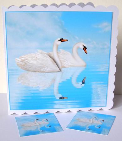 Swans on Lake Topper by Margaret McCartney