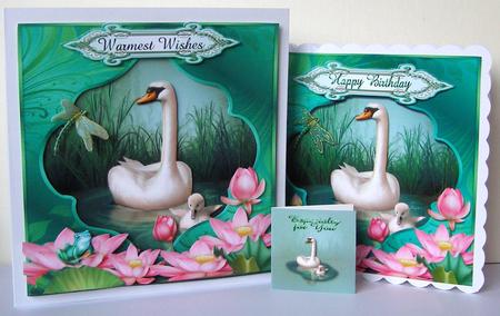 Swan Song Window Card Front Plus Gift Card by Margaret McCartney