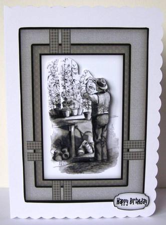The Gardner Sbs by Margaret McCartney