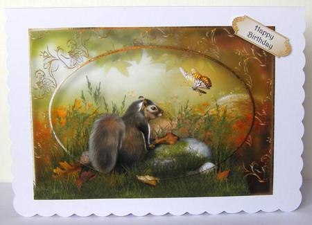 Timid Squirrel in the Woods by Margaret McCartney