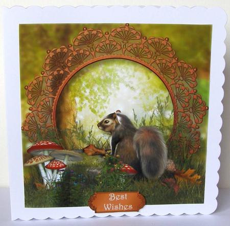 The Squirrel in the Forest by Margaret McCartney