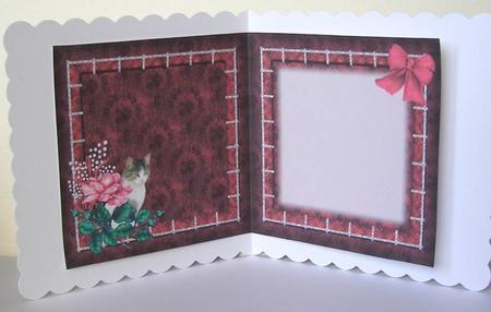 The Cat in the Window Insert by Margaret McCartney