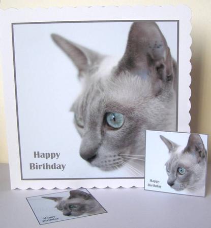 Cat Topper 2 by Margaret McCartney