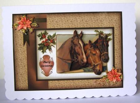 Hoses with Pointsettia Sbs by Margaret McCartney