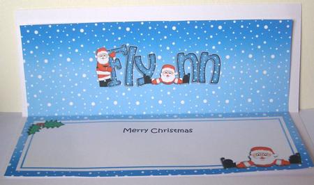 Large Dl Christmas Flynn Santa Insert by Margaret McCartney