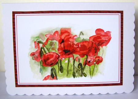 Stunning Red Field Poppies by Margaret McCartney