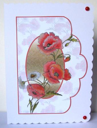 The Poppies Topper by Margaret McCartney