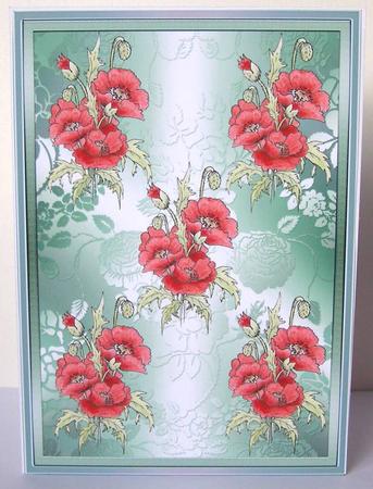 Red Poppies Watercolour Background by Margaret McCartney