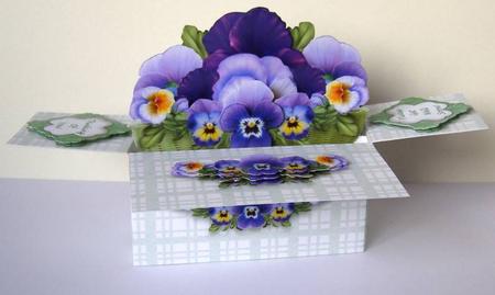 Pansies - Pop-up Box Card & Matching Envelope by Margaret McCartney