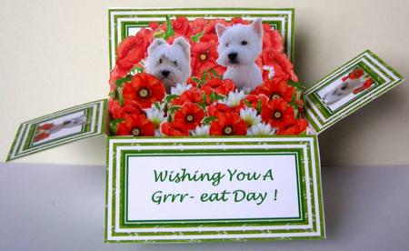 West Highland Terriers & Poppies - 3D Pop-up Box Card Kit by Margaret McCartney