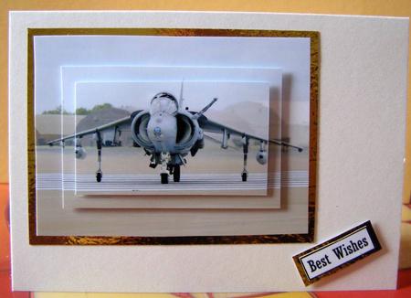 Harrier Jet by Margaret McCartney