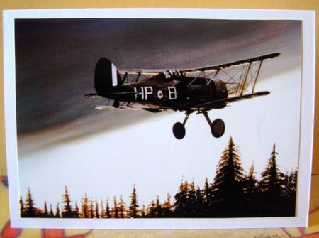 Gloster Gladiator Biplane by Margaret McCartney