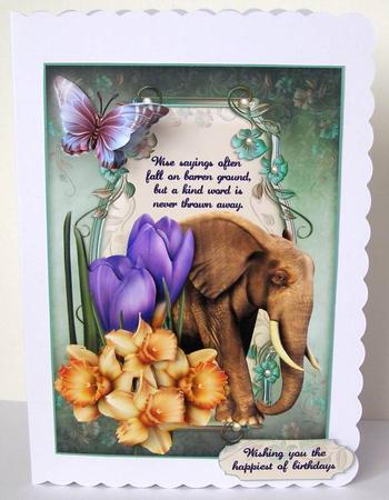 Kind Words Wise Elephant by Margaret McCartney