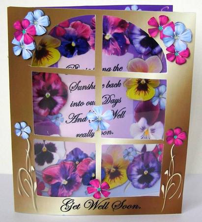 Get Well Pansy by Margaret McCartney