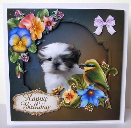 Cute Shitzui Puppy Card Front. by Margaret McCartney