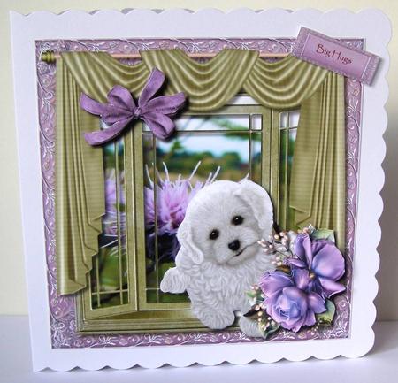 In the Window -  by Margaret McCartney