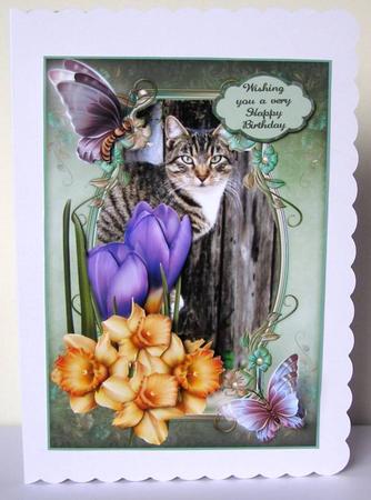 Furry Friend and Flowers by Margaret McCartney