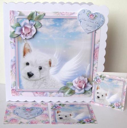 Angel Wings by Margaret McCartney