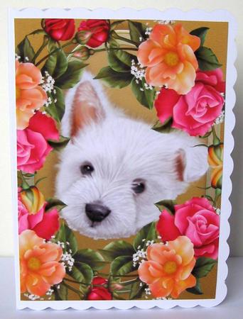 Gorgeous Westie in Bed of Flowers A4 by Margaret McCartney