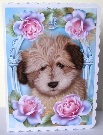 Adorable Shaggy Dog in Roses A4 by Margaret McCartney