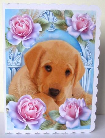 Gorgeous Labrador Puppy in Blue Roses by Margaret McCartney