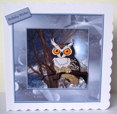 Night Owl in the Moonlight Card by Margaret McCartney