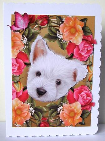Gorgeous Westie in Bed of Flowers by Margaret McCartney