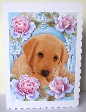 Gorgeous Labrador Puppy in Blue Roses by Margaret McCartney