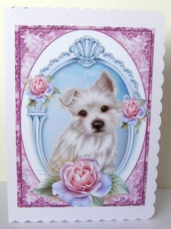 Gorgeous Little Westie with Pink Roses in Frame A4 by Margaret McCartney