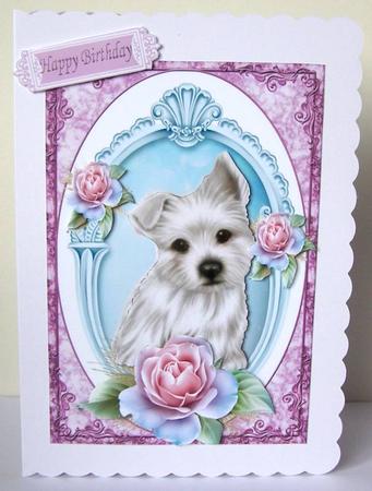 Gorgeous Little Westie with Pink Roses in Frame by Margaret McCartney