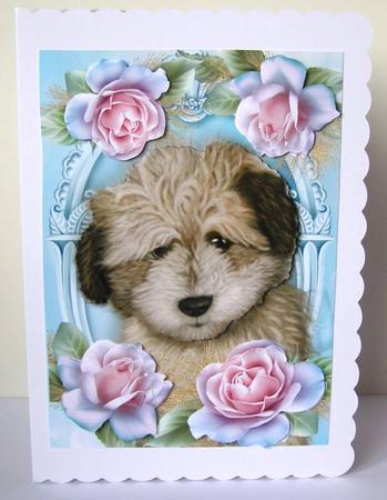 Adorable Shaggy Dog in Roses by Margaret McCartney
