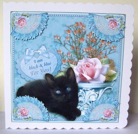 I Am Black and Blue for You! by Margaret McCartney