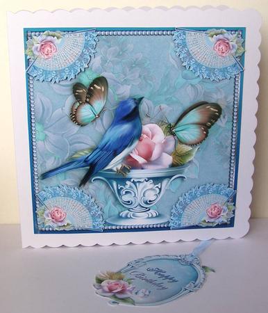 The Bird and the Butterlies by Margaret McCartney