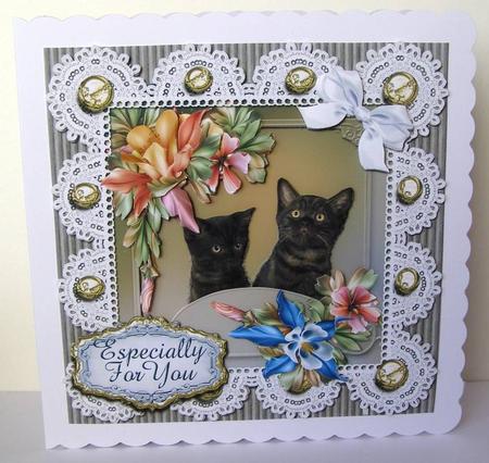 Beautiful Black Kittens and Lace Card Front by Margaret McCartney