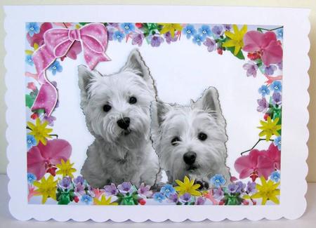 Cute Pair of Westies in Flower Frame with Bow by Margaret McCartney