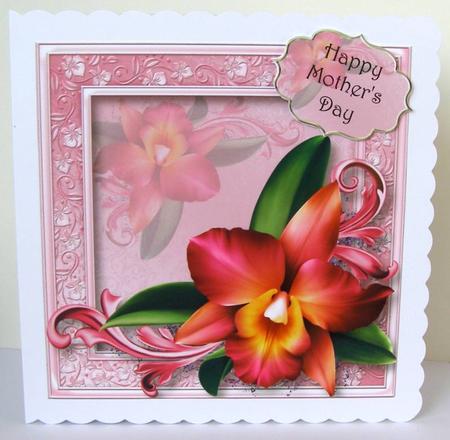 Beautiful Pink Romantic Orchid 8x8 Quick Topper by Margaret McCartney