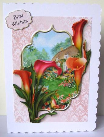 Hot Calla Lilies at the Flower Cottage by Margaret McCartney