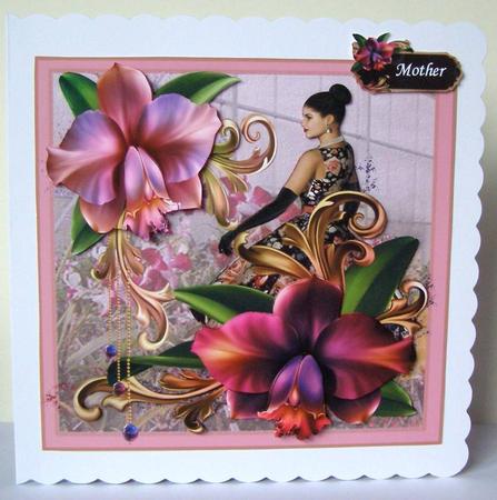 Orchid Beauty by Margaret McCartney