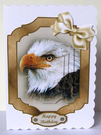 Bird Card Front (8) by Margaret McCartney