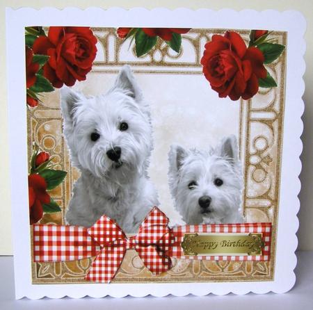 Peekaboo Westies with Red Roses and Check Bow 8x8 by Margaret McCartney