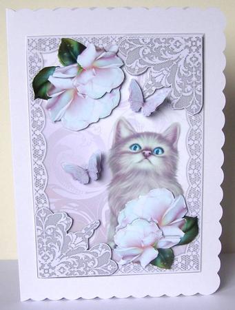 Beautidul Roses in Lace Frame by Margaret McCartney